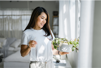 Article lorem ipsum dolor sitArticle lorem ipsum